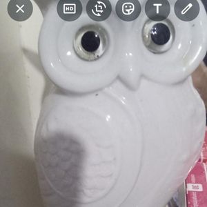 AMIZADES ETERNA 🦉 coruja