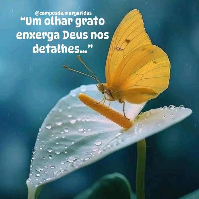 Grupo dos amigos  a evolução....
