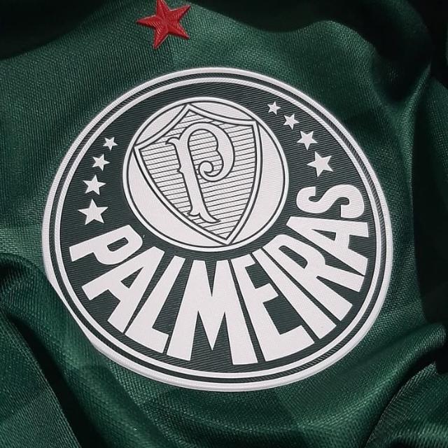 Família Palestra 💚❤️🤍