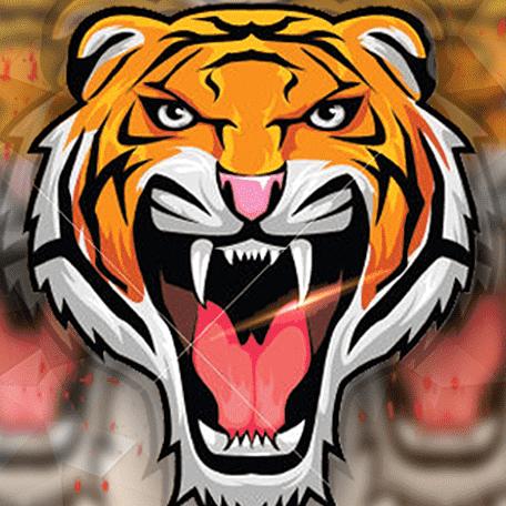 slots Tiger