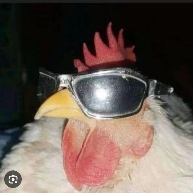 Fznd amizades!!🤡