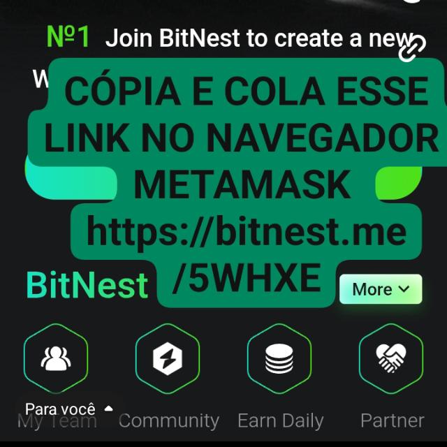 BITNEST LUCRO SERT