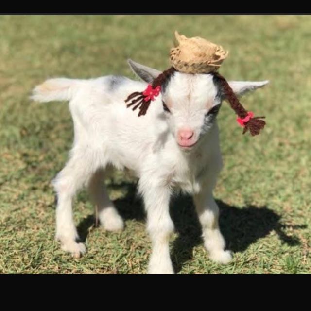 Segura o Tchan🕺🏻😝