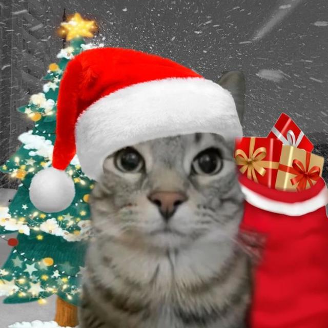 Avatar do grupo ★꙳•❅🎄 𝑭𝑰𝑬𝑺𝑻𝑨 🎅❆•꙳★