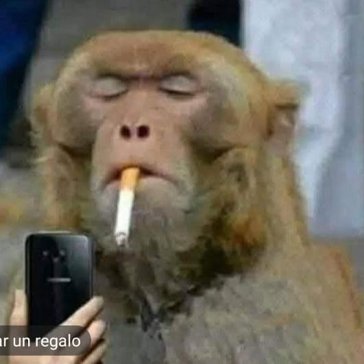 Avatar do grupo Friends Center 