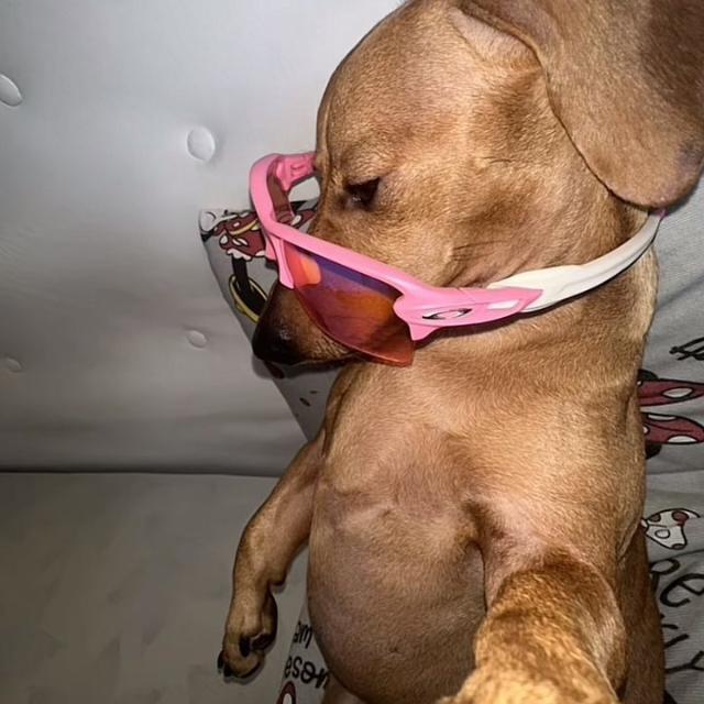 Avatar do grupo 💯 condições