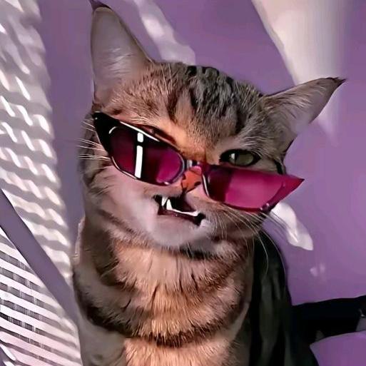 𝑇𝐻𝐸 𝐵𝐿𝐸𝑆𝑆𝐸𝐷 𝑂𝑁𝐸𝑆.