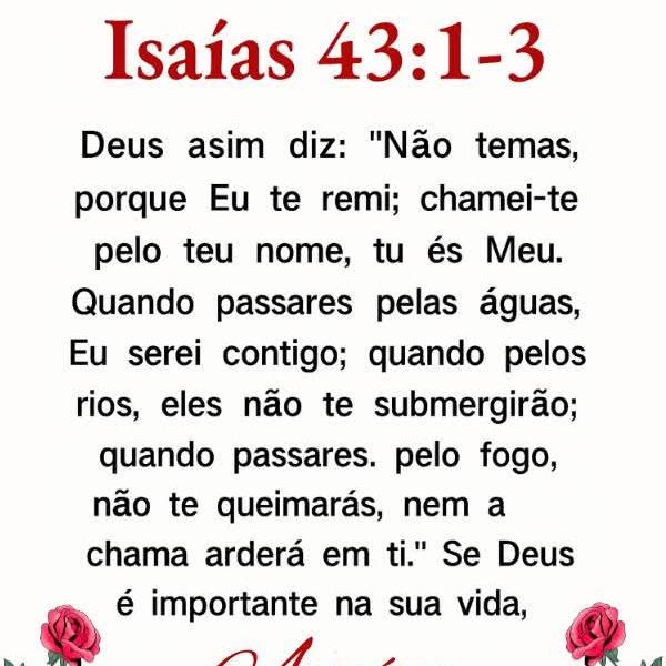 Frases e versos da bíblia 📖✝️🌻