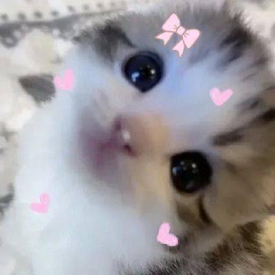 ★𝑺𝒐𝒖𝒍 ¡ 𝑺𝒊𝒔𝒕𝒆𝒓𝒔★