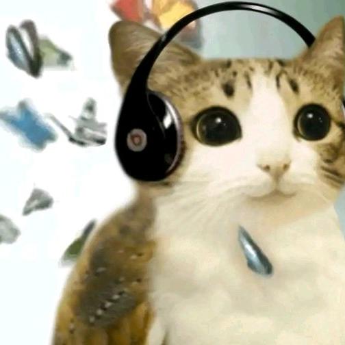 𞋋𝖣𝗈𝗋𝗍𝗁 𞋅 𝖫𝗂𝖿𝗍𝗒 𖤴