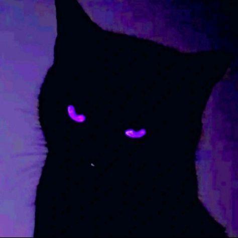 Avatar do grupo ˖ ݁ ݁˖¿❍𝐵ׅ꯱𝐶𝑈𝑅Ⓔ¿݁ ݁˖