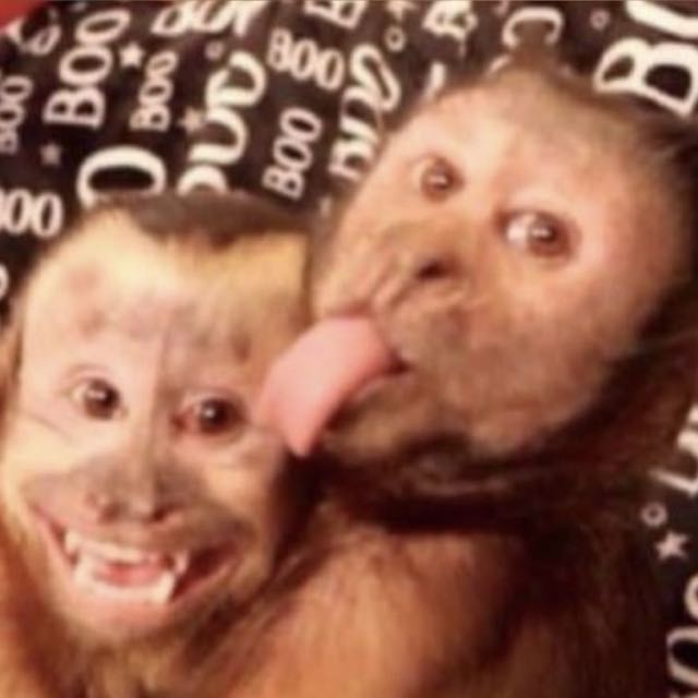 𝓐𝓶𝓲𝔃𝓪𝓭𝓮𝓼 𝓪 𝓭𝓲𝓼𝓽𝓪̂𝓷𝓬𝓲𝓪😝