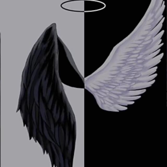 Avatar do grupo FML DARK & WHITE 🌑🪽