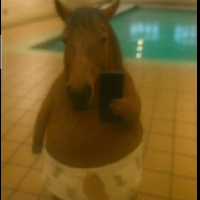 Avatar do grupo ツﻬஐﻬ 🅾🆂 🆂🅴🅼 🅵🆄🆃🆄🆁🅾🆂 ﻬஐﻬツ