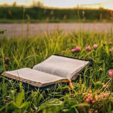 DIVULGUE SEUS GRUPOS