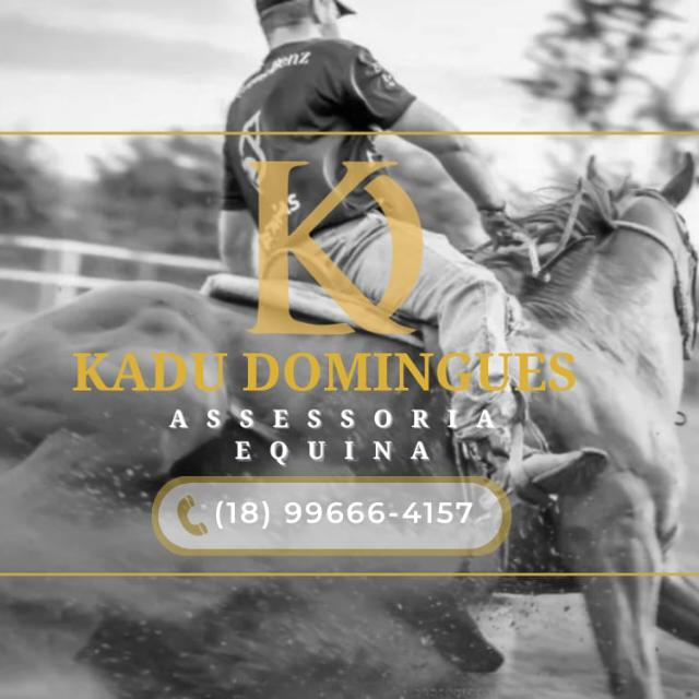 Avatar do grupo Kadu Domingues assessoria equestre
