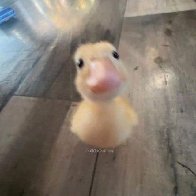 Avatar do grupo Missão conhecer novas pessoas